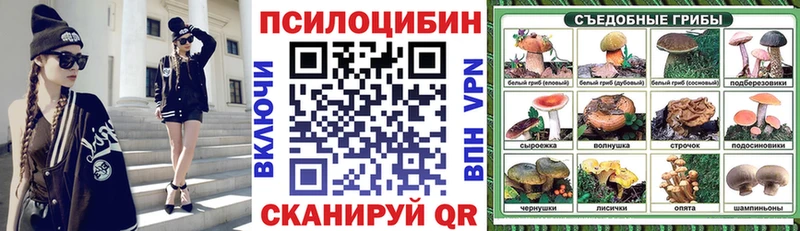 Купить где  Правдинск  Галлюциногенные грибы Cubensis 
