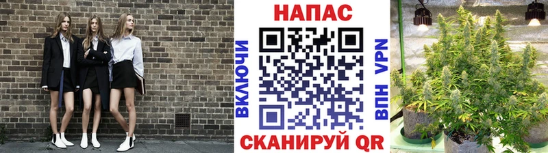Бошки марихуана Ganja  Купить закладки  Правдинск 